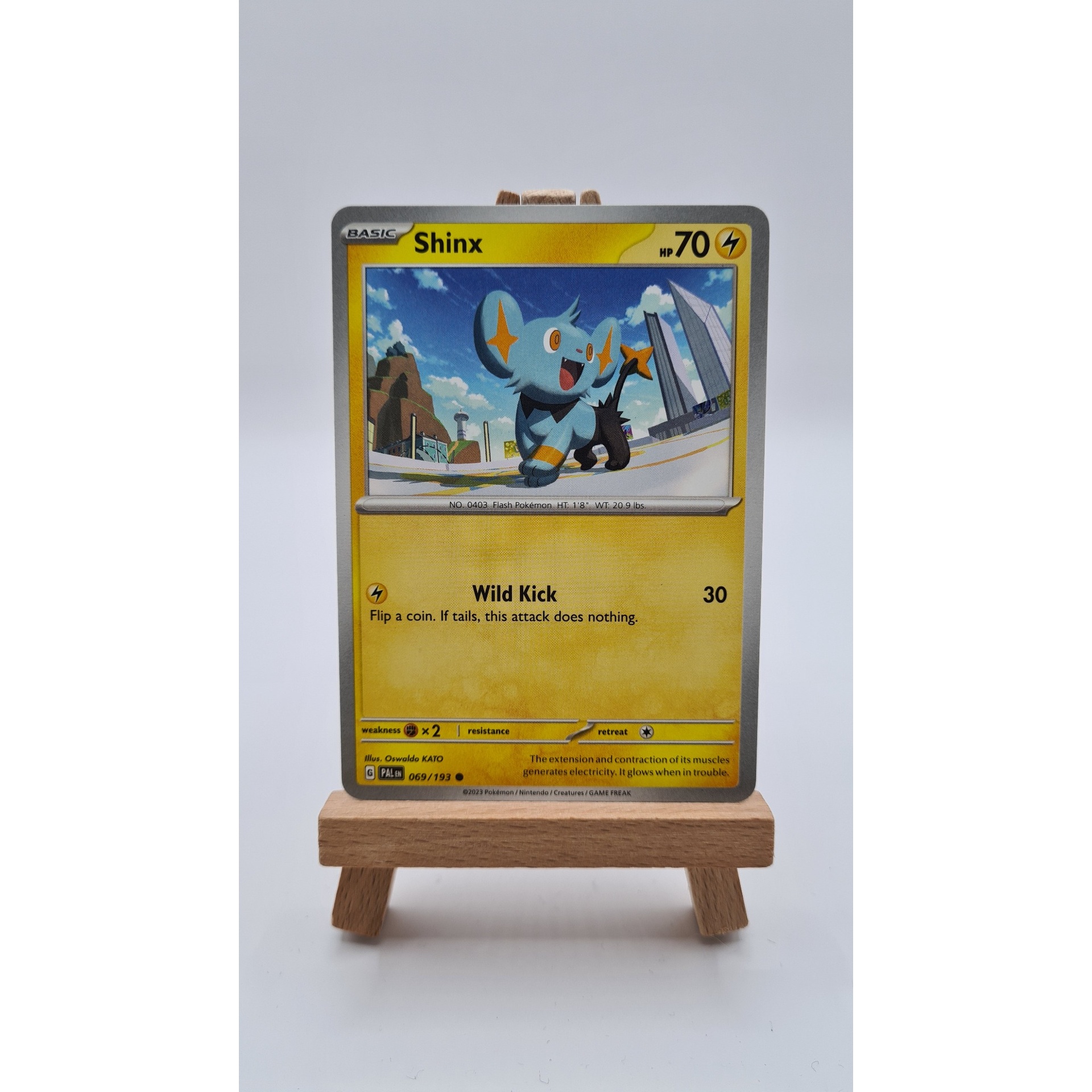 Shinx (PAL 069)