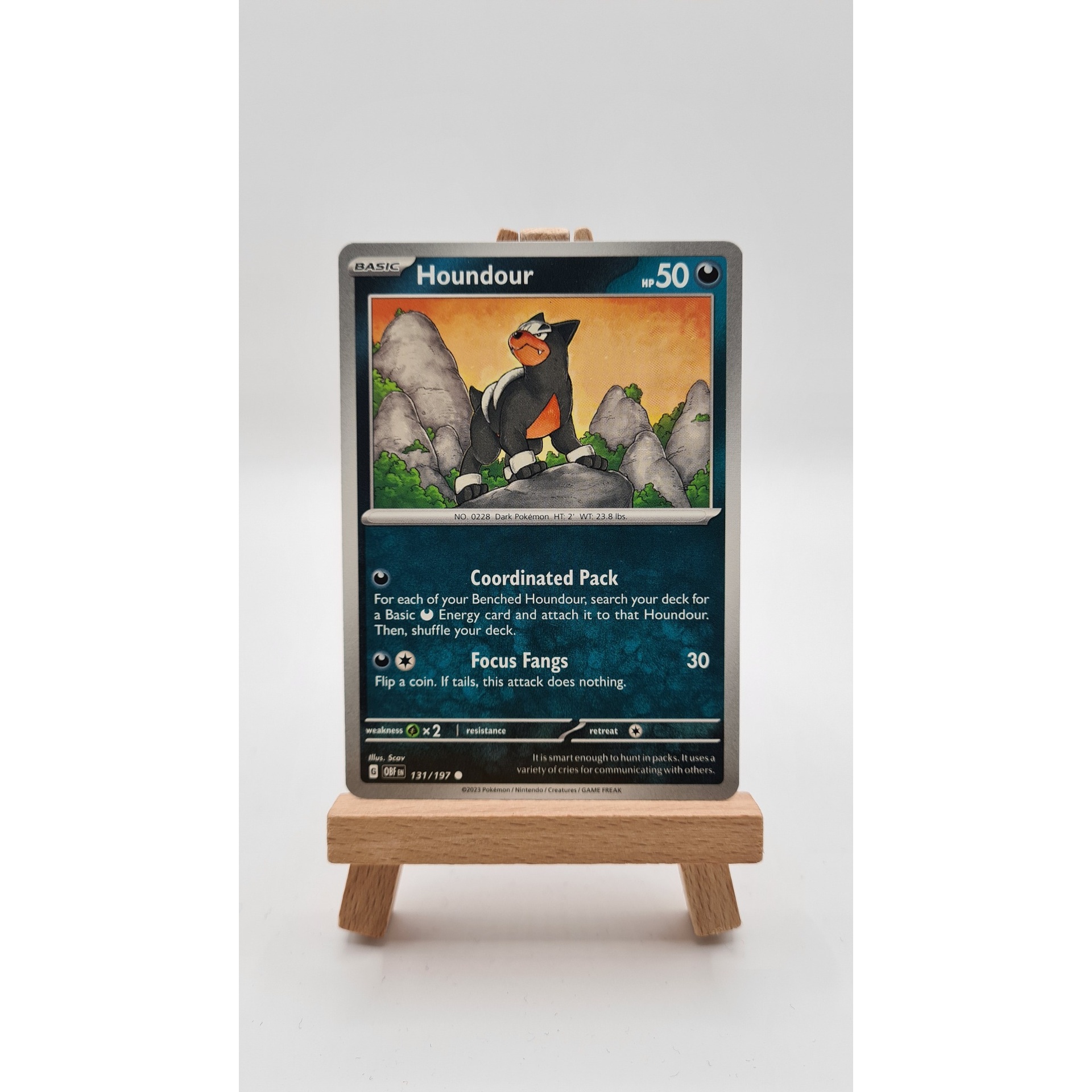 Houndour (OBF 131)