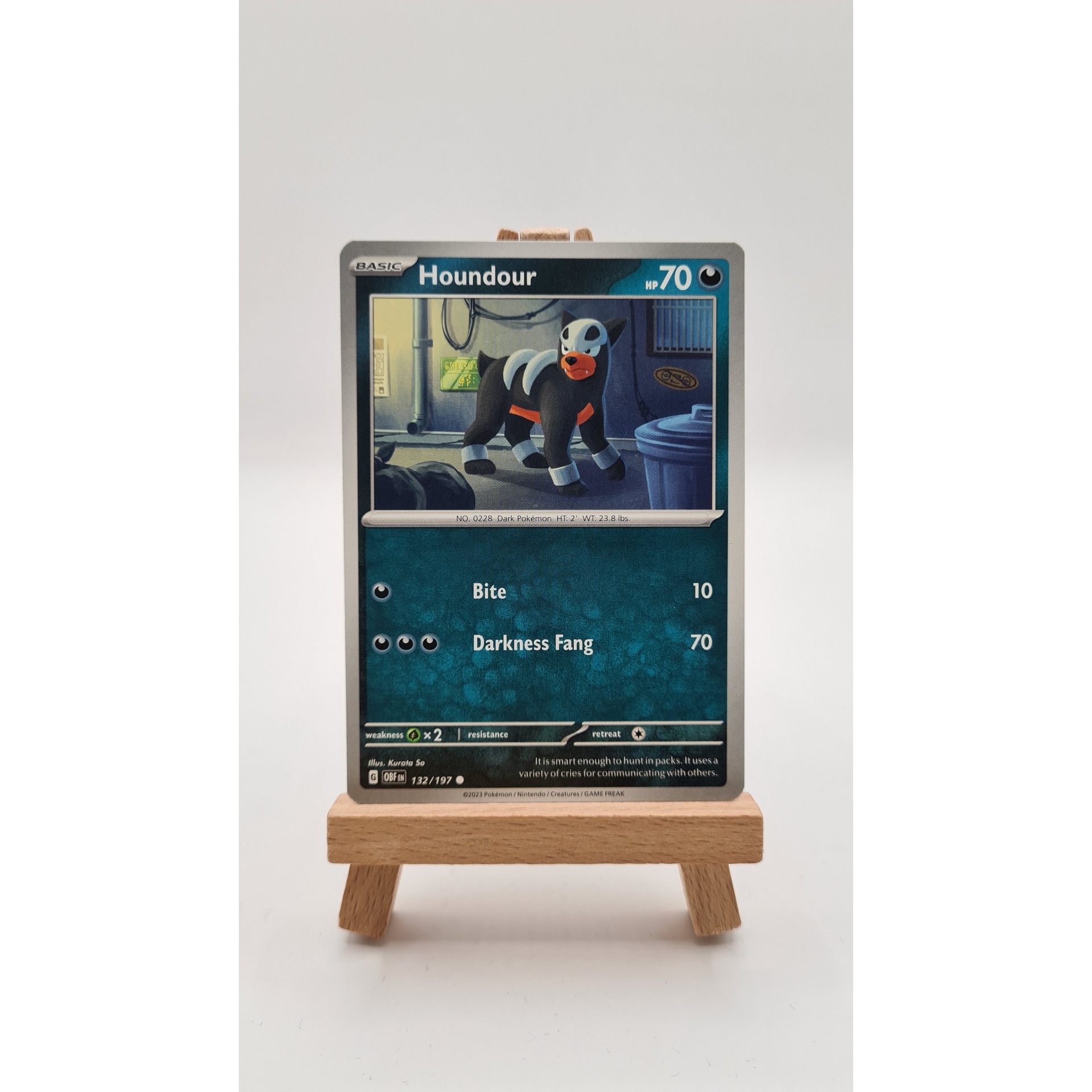 Houndour (OBF 132)