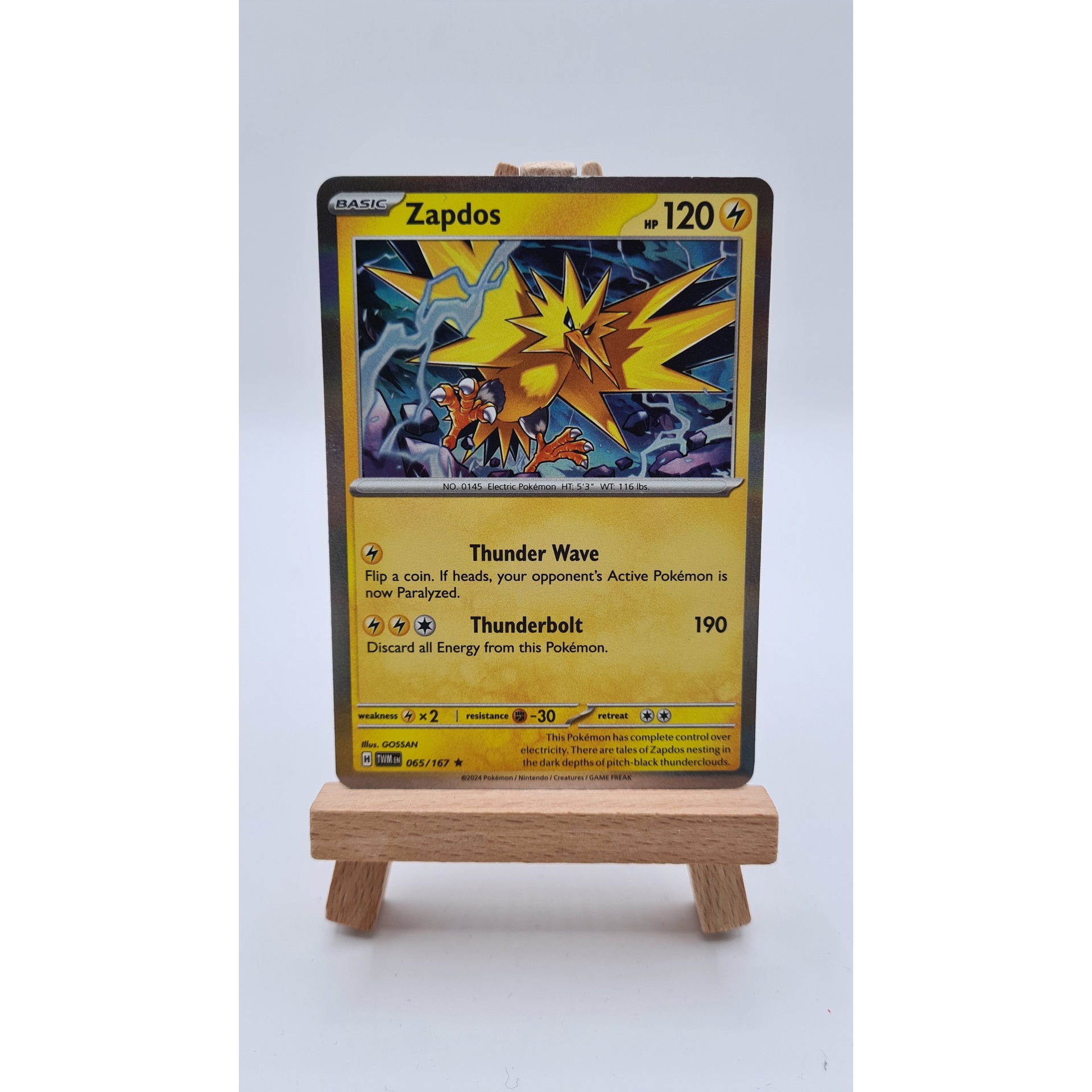 Zapdos (TWM 065) Holo