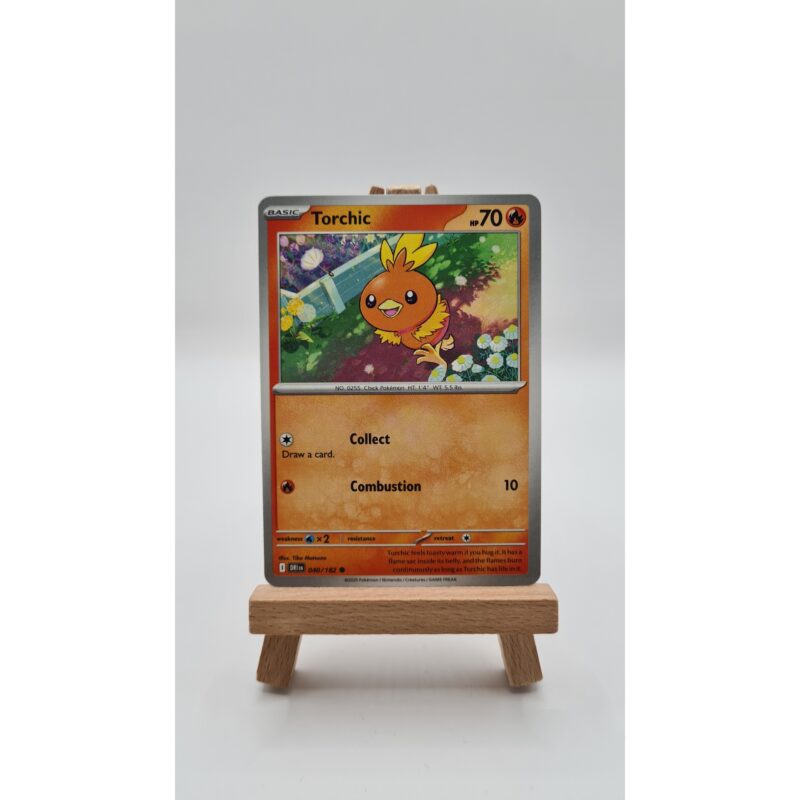 Torchic (DRI 040)