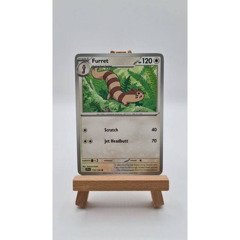 Furret (JTG 119)