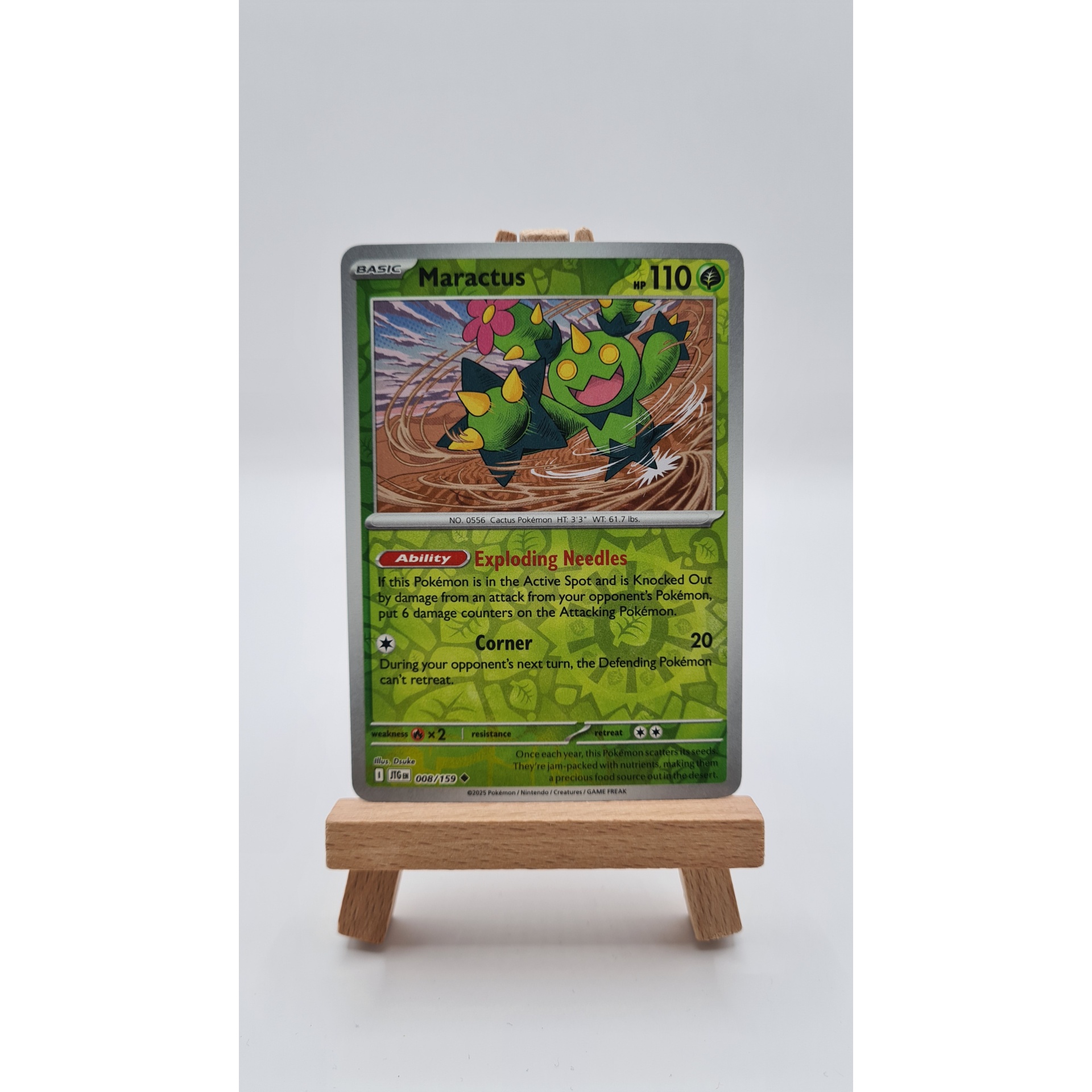 Maractus (JTG 008) Reverse Holo