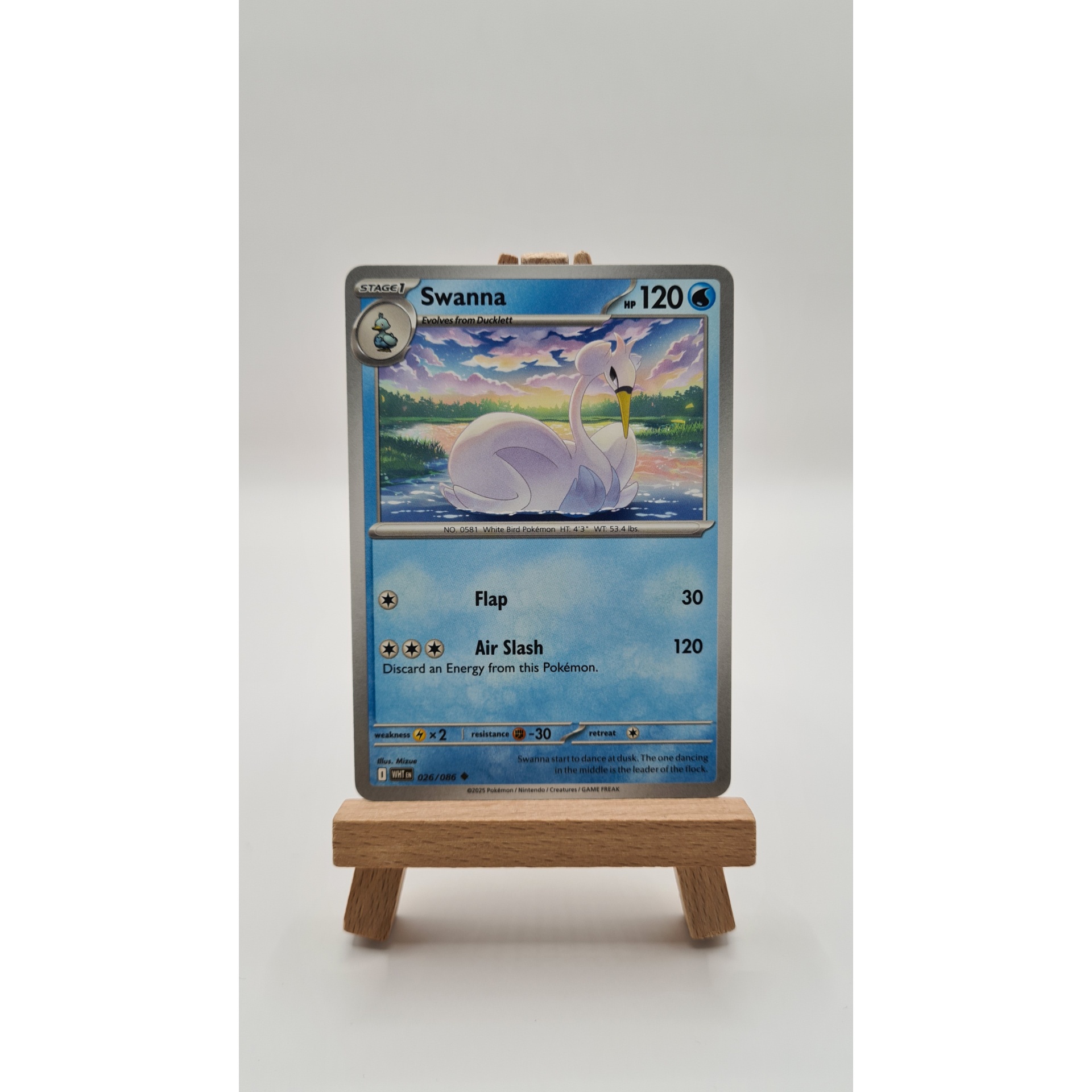 Swanna (WHT 026)