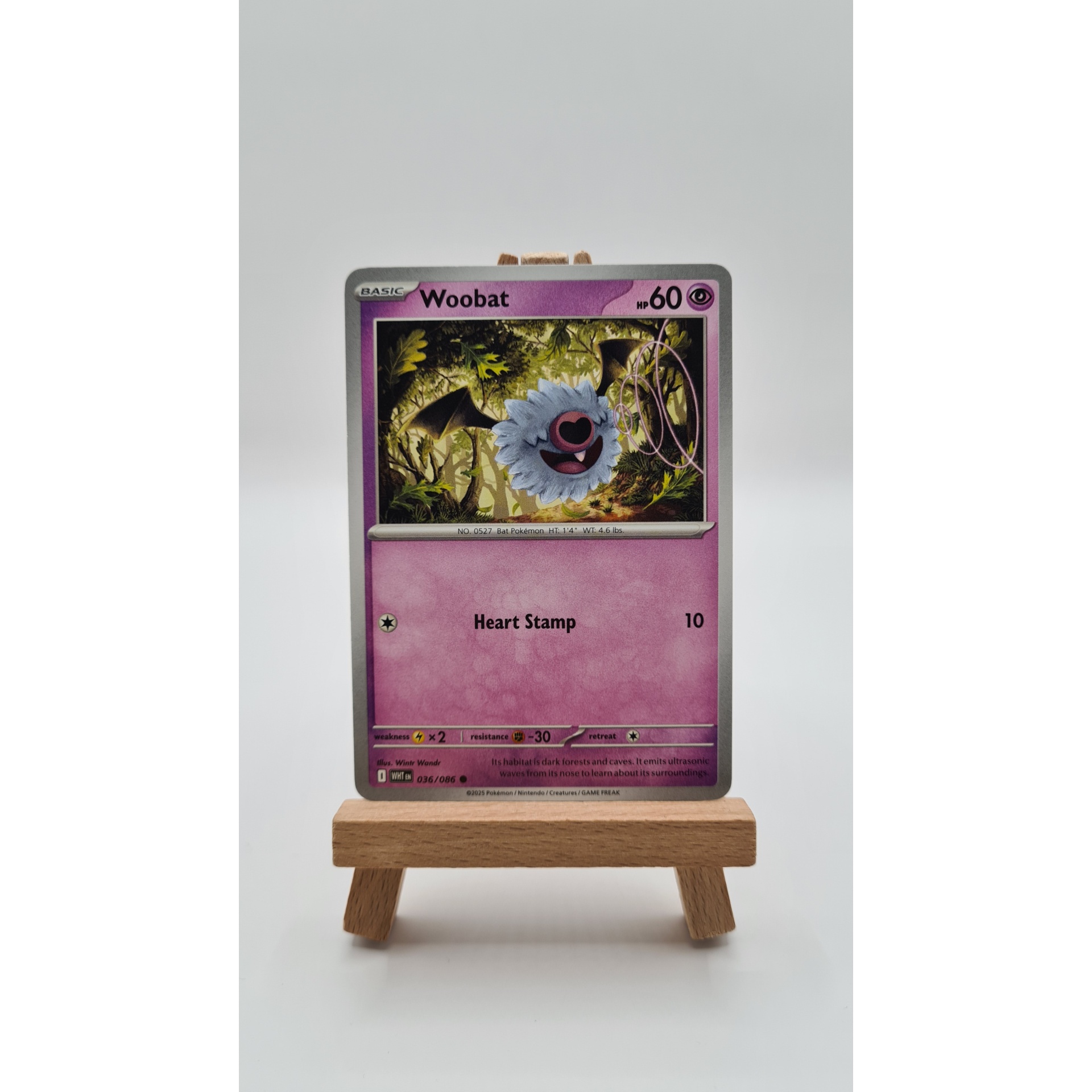 Woobat (WHT 036)