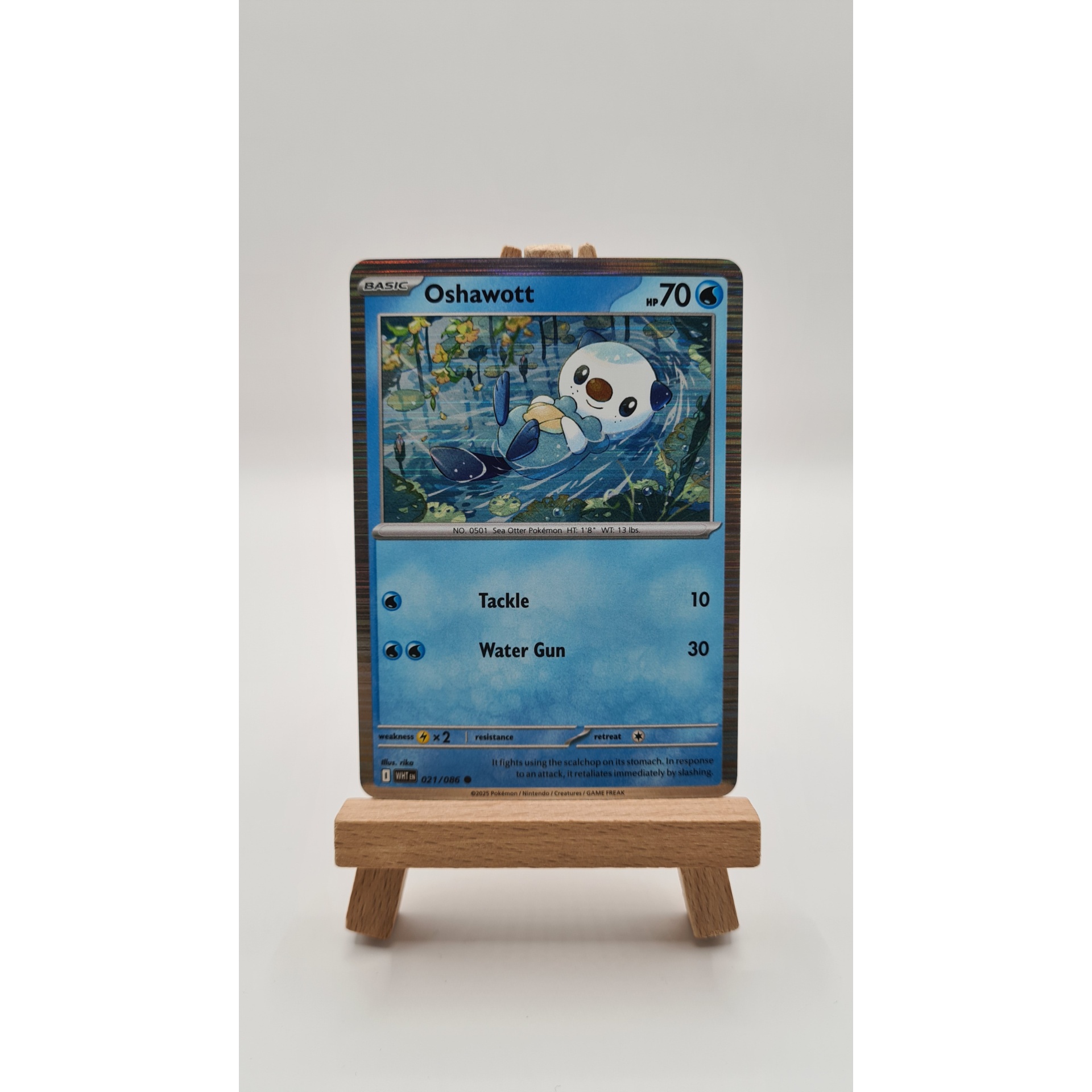 Oshawott (WHT 021) Holo