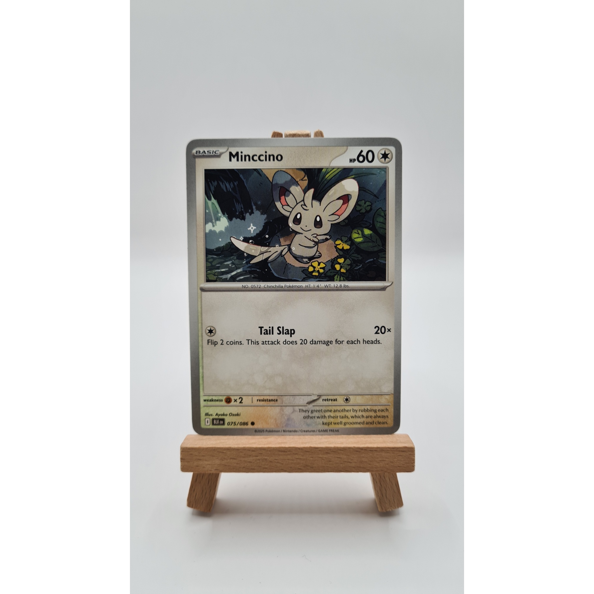 Minccino (BLK 075)