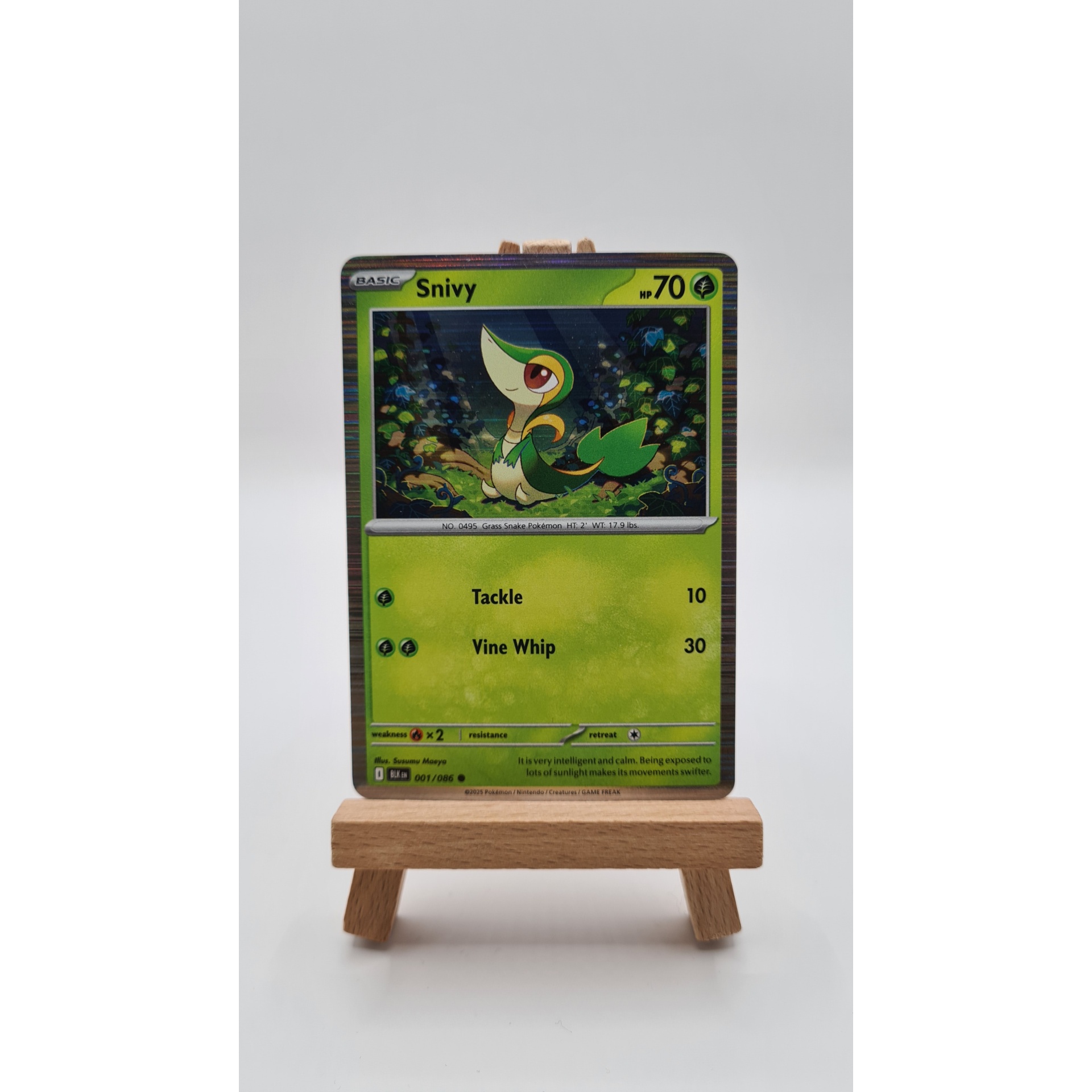 Snivy (BLK 001) Holo