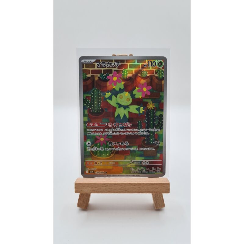 Maractus (sv9 101)